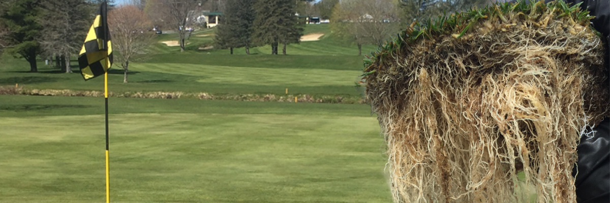 Root Decline: #FlattenTheCurve